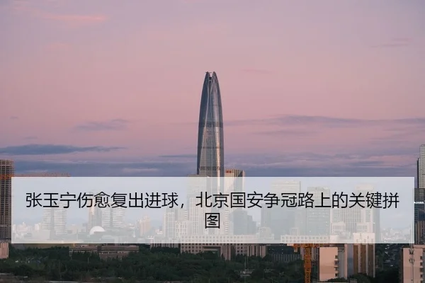 zhang-yu-ning-shang-yu-fu-chu-jin-qiu-bei-jing-guo-an-zheng-guan-lu-shang-de-guan-jian-pin-tu-3-301.jpg