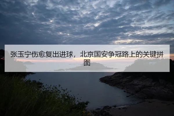 张玉宁伤愈复出进球，北京国安争冠路上的关键拼图