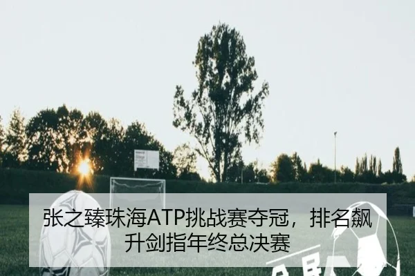 张之臻珠海ATP挑战赛夺冠，排名飙升剑指年终总决赛